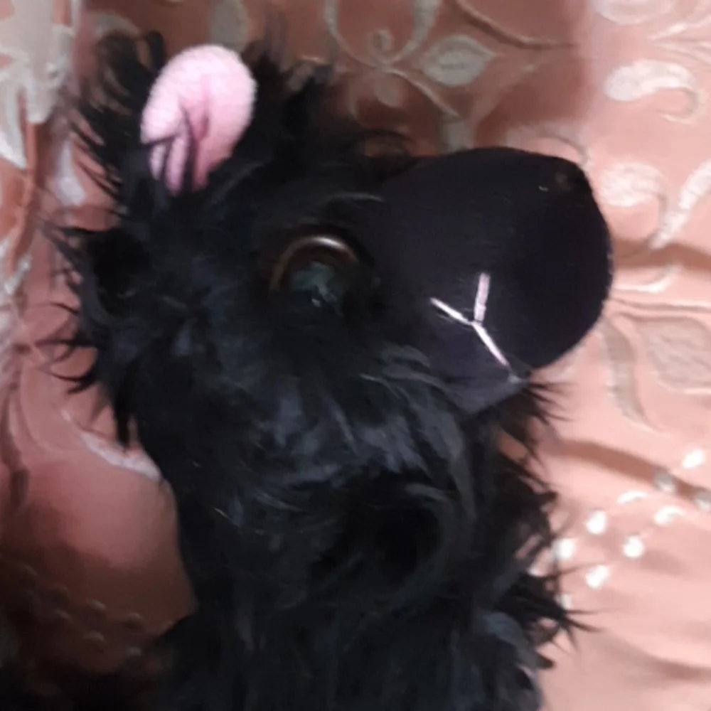 Black Llama stuffed animal Toys